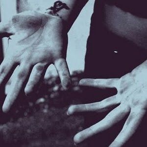 Meet your Posher, Casey